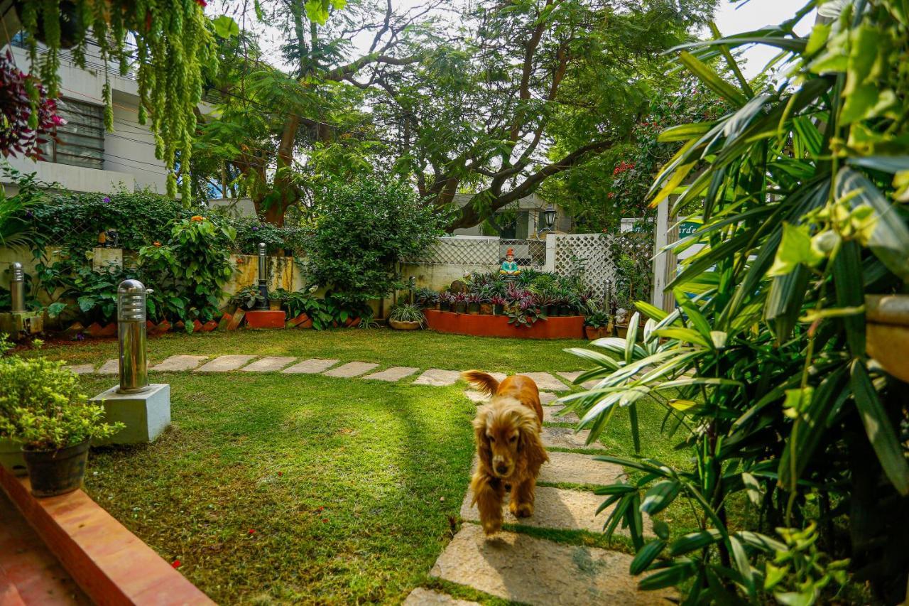 Terrace Gardens Bed & Breakfast Bangalore Luaran gambar